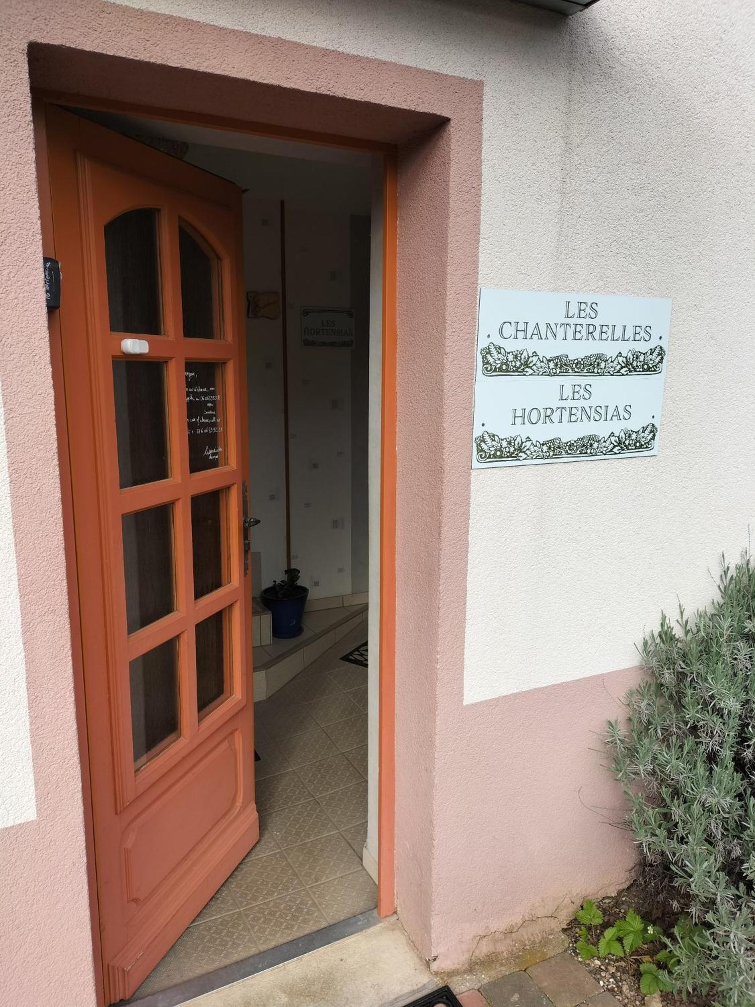 les hortensias La Souris Des Champs Étival-Clairefontaine Exterior foto