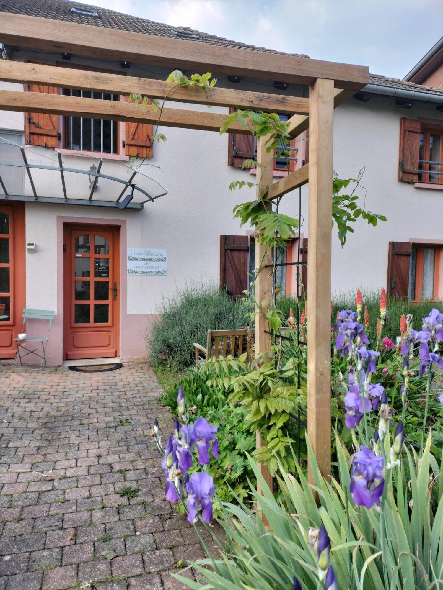 les hortensias La Souris Des Champs Étival-Clairefontaine Exterior foto